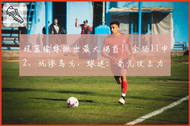 辽篮输球揪出最大祸首!全场11中2,坑惨乌戈,球迷:毫无攻击力