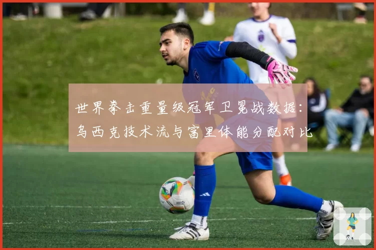 世界拳击重量级冠军卫冕战数据：乌西克技术流与富里体能分配对比