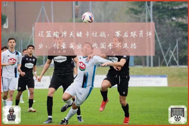 辽篮输掉关键卡位战,赛后球员评分,付豪高分,两国手不及格