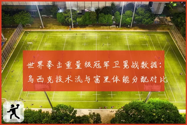 世界拳击重量级冠军卫冕战数据：乌西克技术流与富里体能分配对比