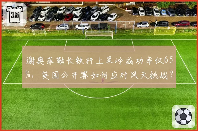谢奥菲勒长铁杆上果岭成功率仅65%，英国公开赛如何应对风天挑战？
